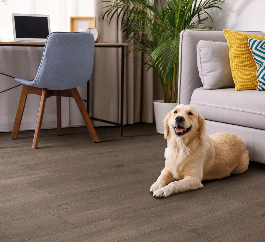 Tough and Trendy: Why Austrix Flooring is the Ultimate Choice for Auss