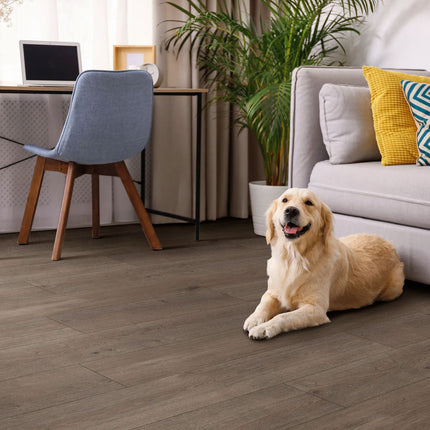 Tough and Trendy: Why Austrix Flooring is the Ultimate Choice for Aussie Pet Owners
