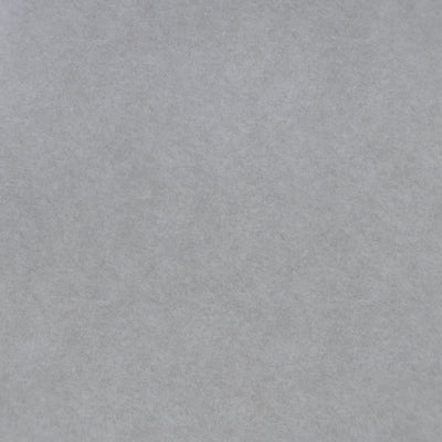 Dove Grey | Stone Look 600 × 600