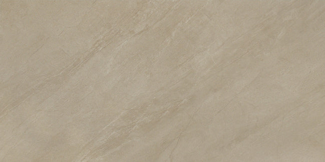 Desert Sand 300 x 600 mm matt porcelain tile face