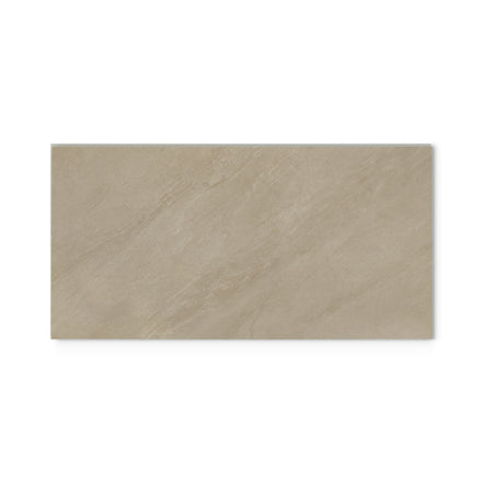 Desert Sand 300 x 600 mm tile on white