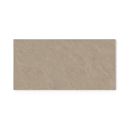 Warm Sandstone 300 x 600 mm tile on white