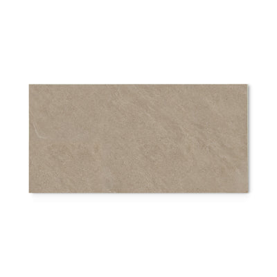 Warm Sandstone 300 x 600 mm tile on white