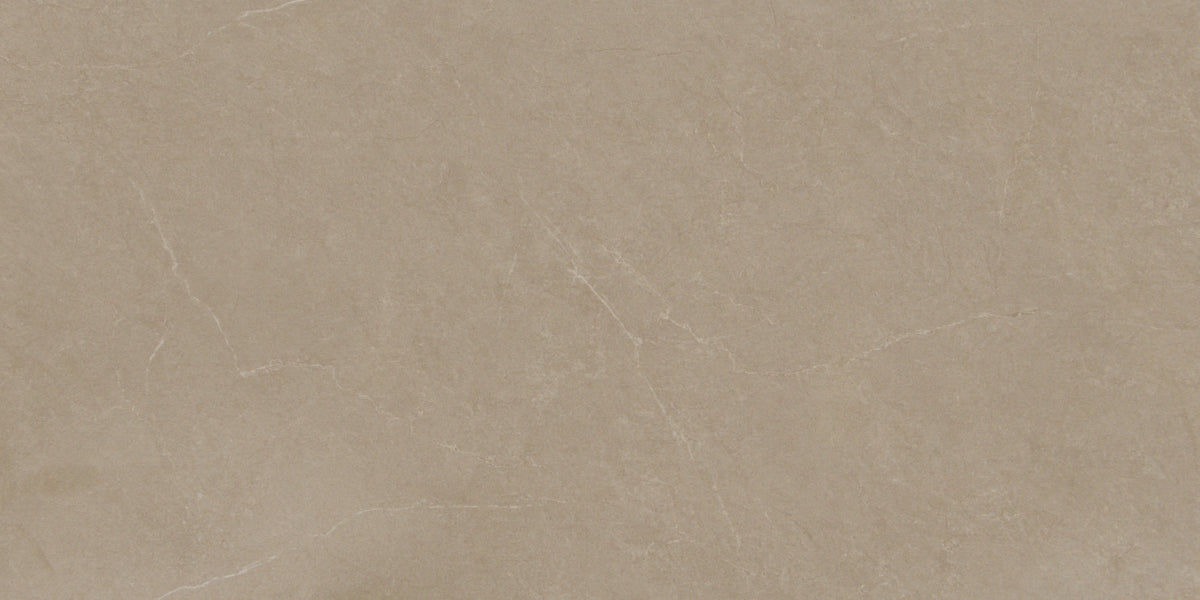 Mocha Stone 300 x 600 mm matt porcelain tile face