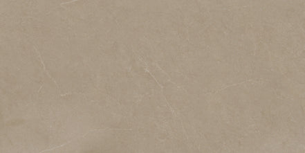 Mocha Stone 300 x 600 mm matt porcelain tile face